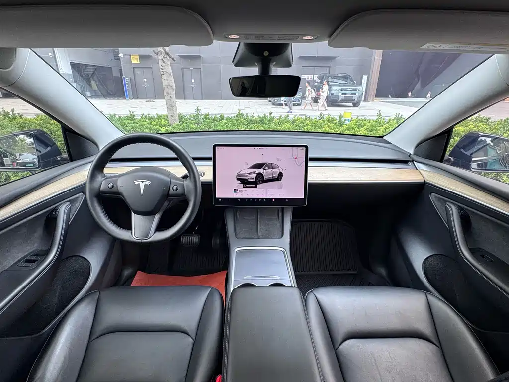 Tesla Model Y — миниатюра 13