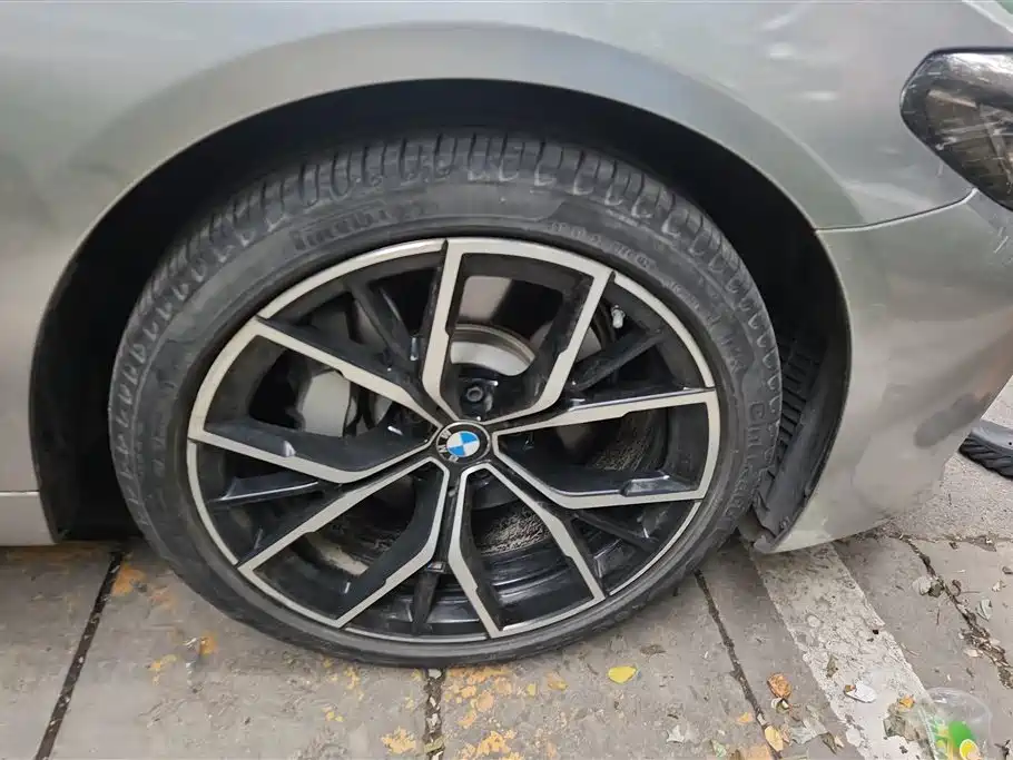 BMW 5 Series 5 2022 530Li Premium M Sport