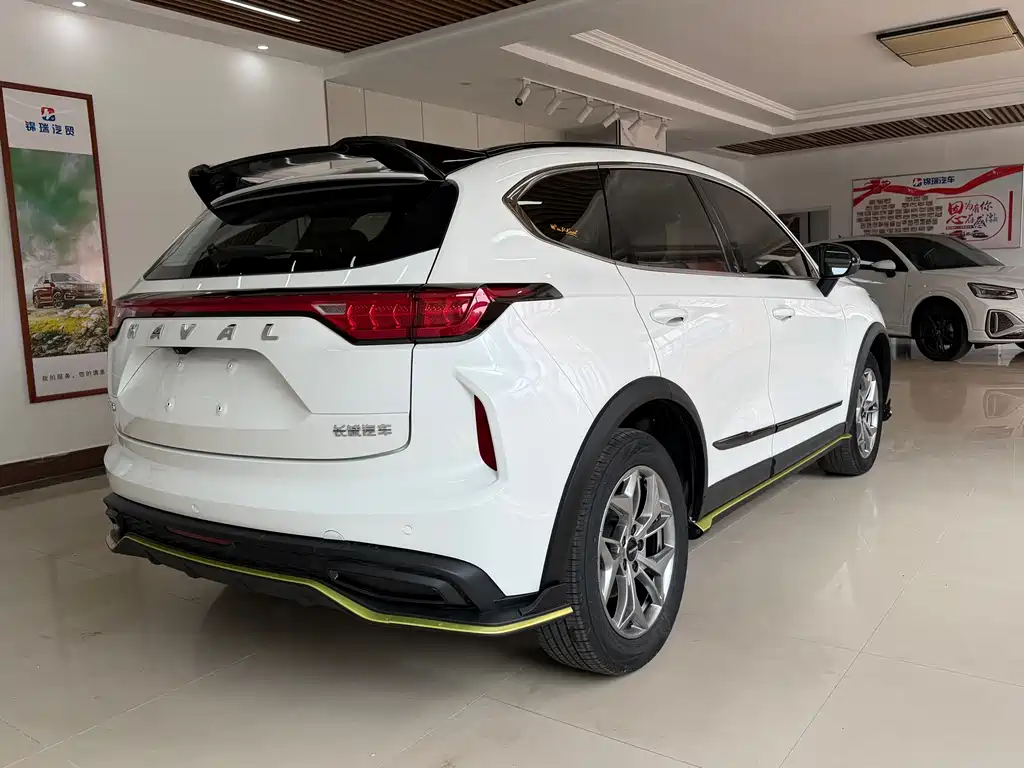 Haval Chitu Dynamic Enjoy Edition 1.5T Brass Rabbit, фото 30