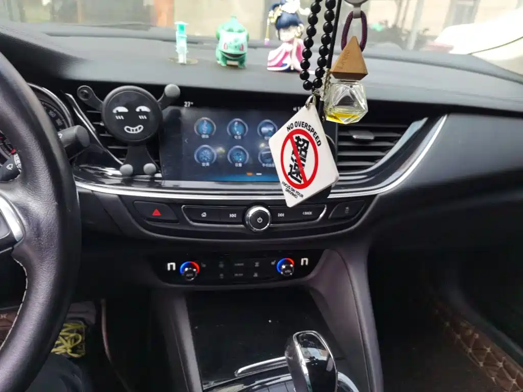 Buick Regal — миниатюра 14