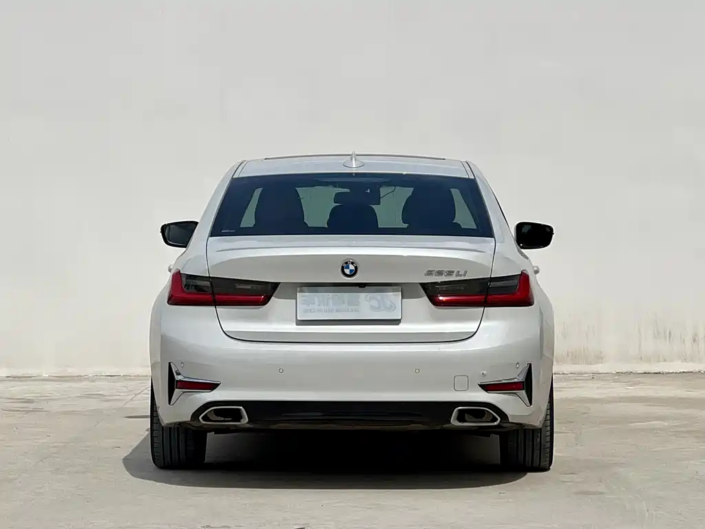 BMW 3 Series 3 2020 325Li