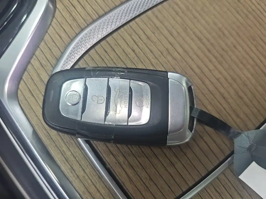 Hongqi E-HS9 2022 690km мест