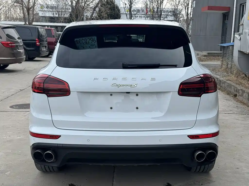 PORSCHE CAYENNE NEW ENERGY