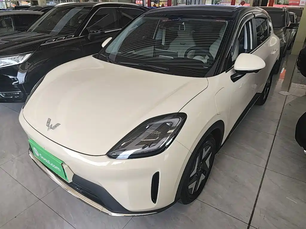 Wuling BinguoS S 2025 325km Flagship