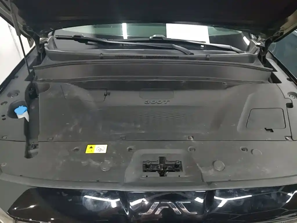 JAC JAC X8 PLUS — миниатюра 20