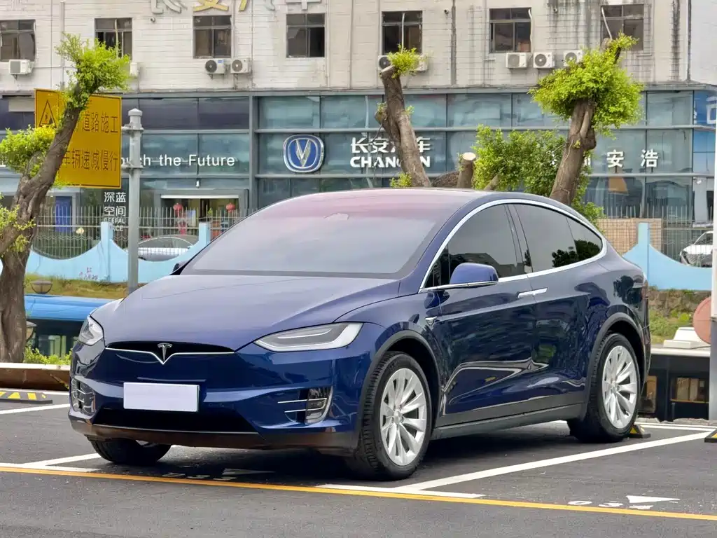 Tesla Model X 2020