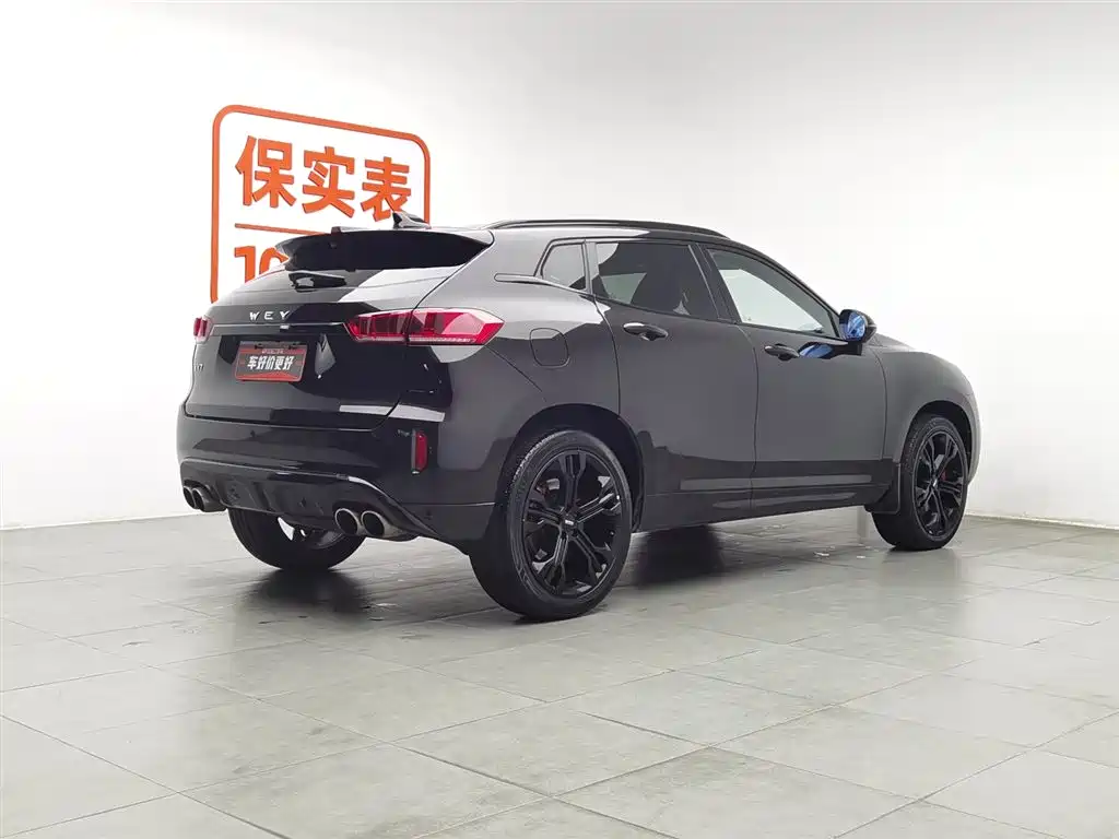 WEI PAI WEI BRAND VV7