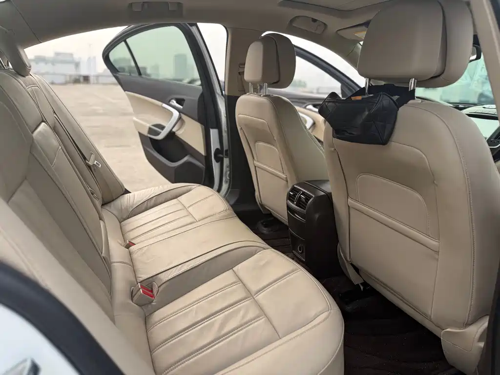 Buick Regal — миниатюра 10