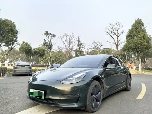 TESLA MODEL 3 2021