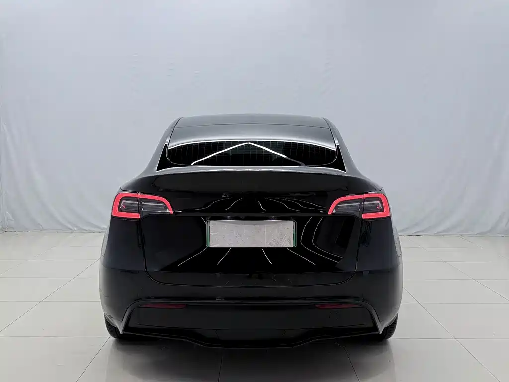 Tesla Model Y — миниатюра 13