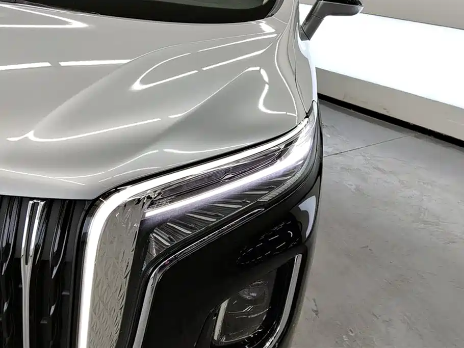 Hongqi HQ9 PHEV 2024 2.0T