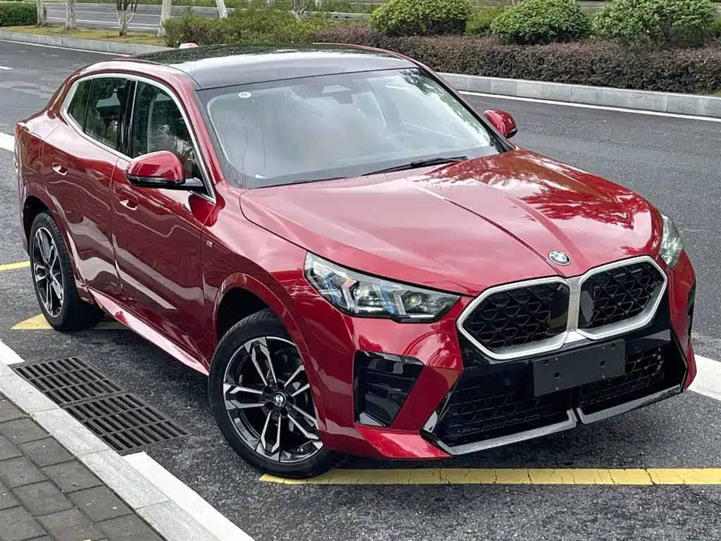 BMW X2 (Import) — миниатюра 7