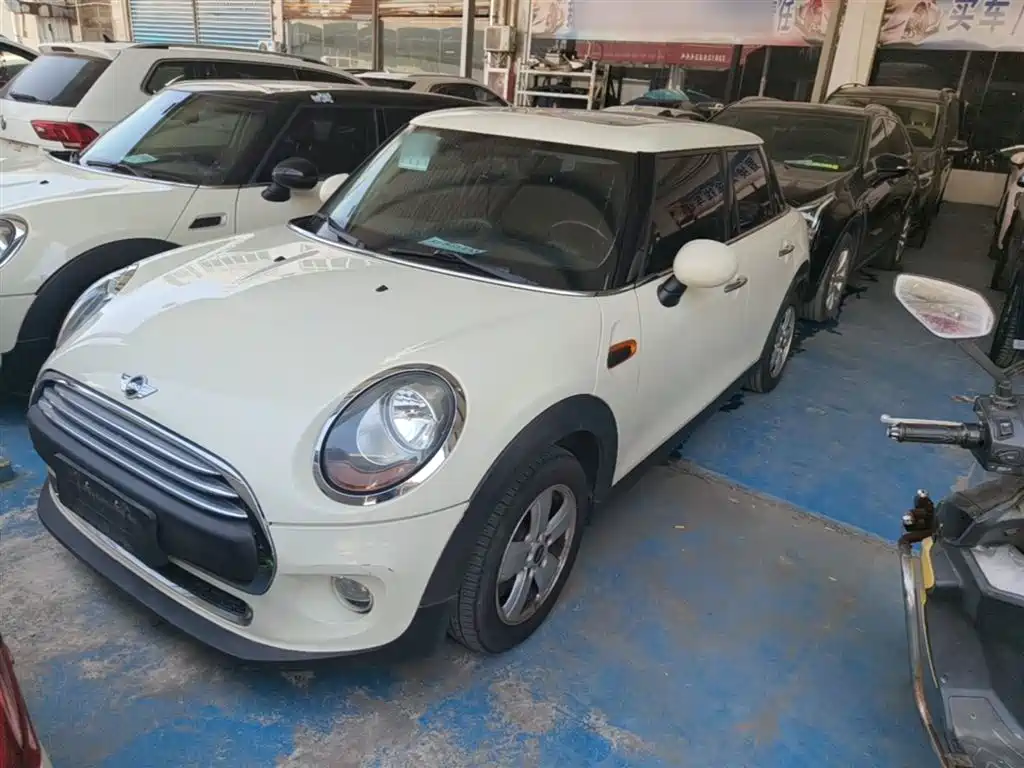 Mini Mini 2016