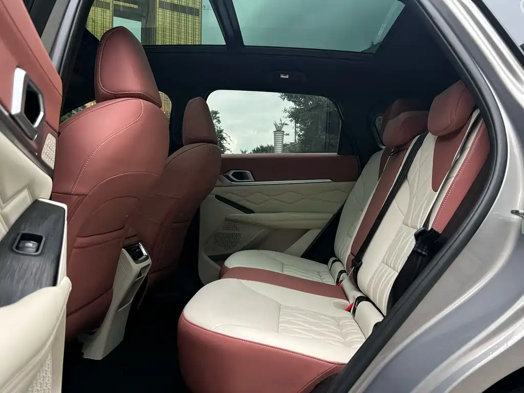 Haval Shenshou — миниатюра 14