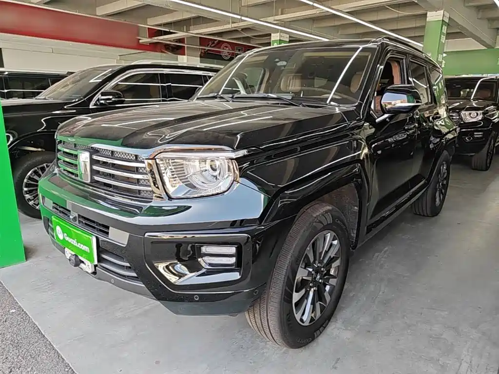 Tank Tank 700 New Energy 2024