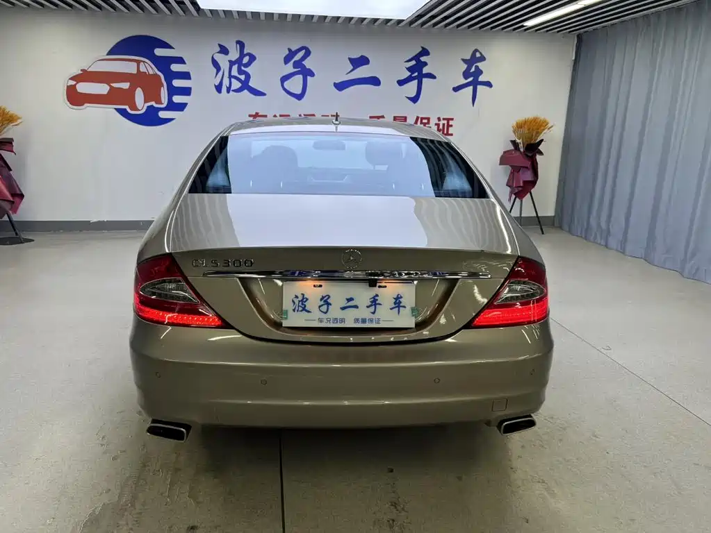 Mercedes-Benz CLS CLS 300, фото 19