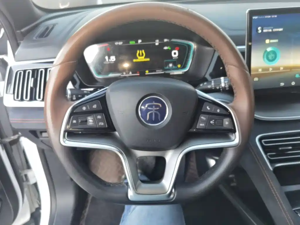 BYD PLUS — миниатюра 11