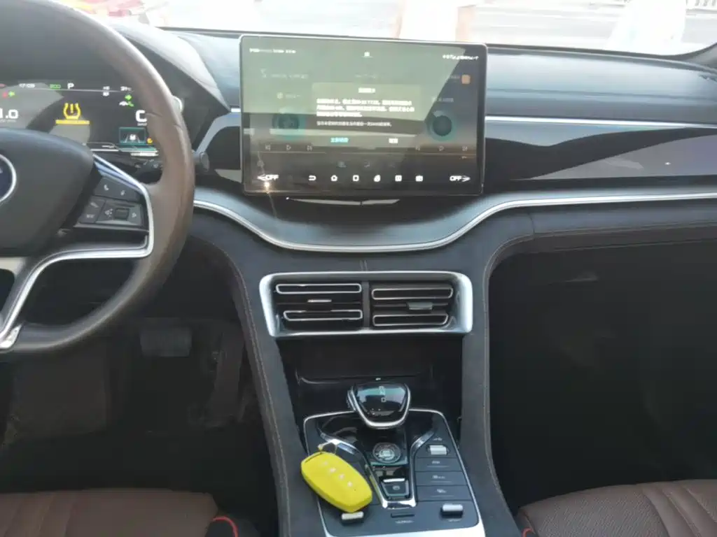BYD PLUS — миниатюра 13