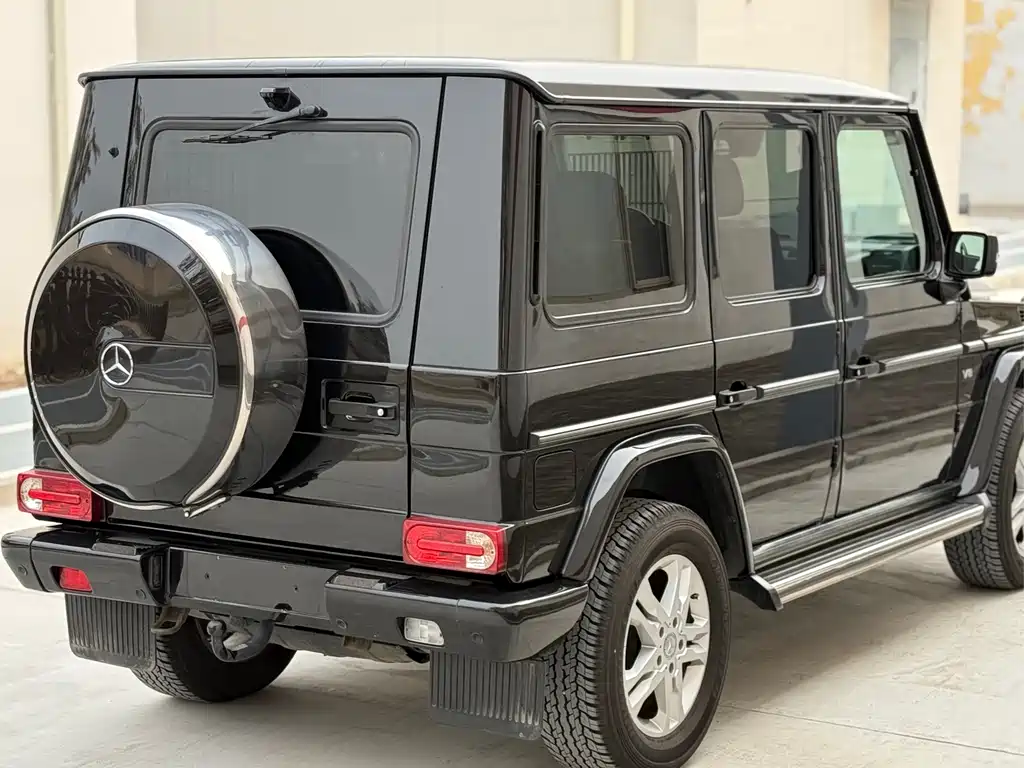 Mercedes-Benz G-Class G 2010 G 500
