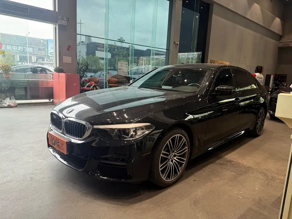 BMW 5 Series 2019