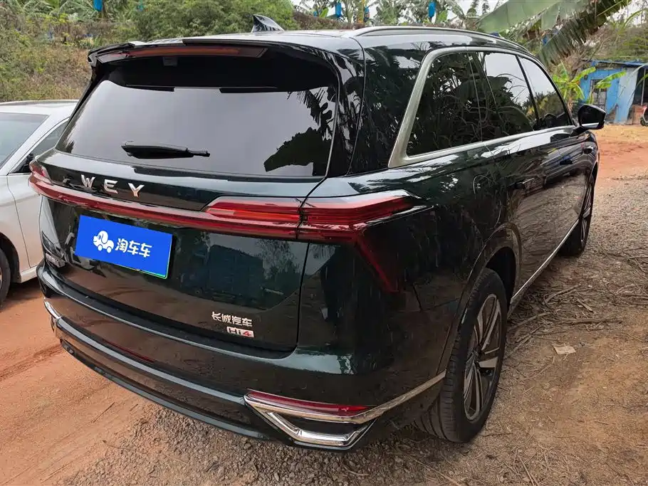 WEI PAI WEI BRAND BLUE MOUNTAIN