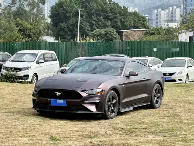 FORD MUSTANG 2019