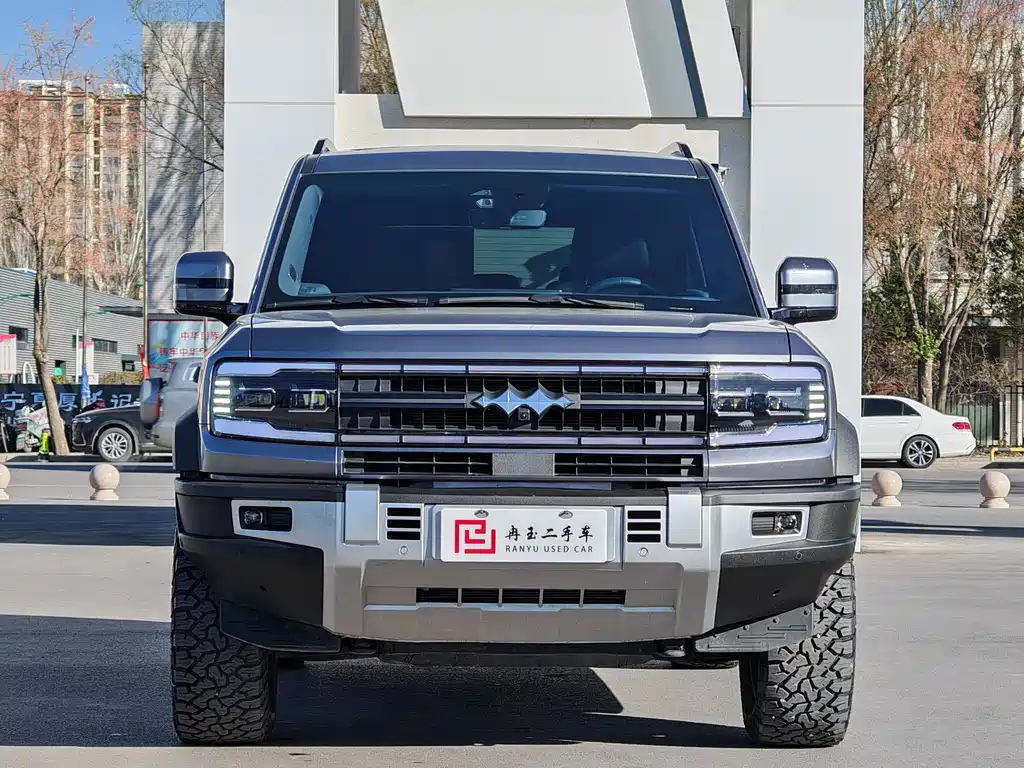 FANG CHENG BAO LEOPARD 5