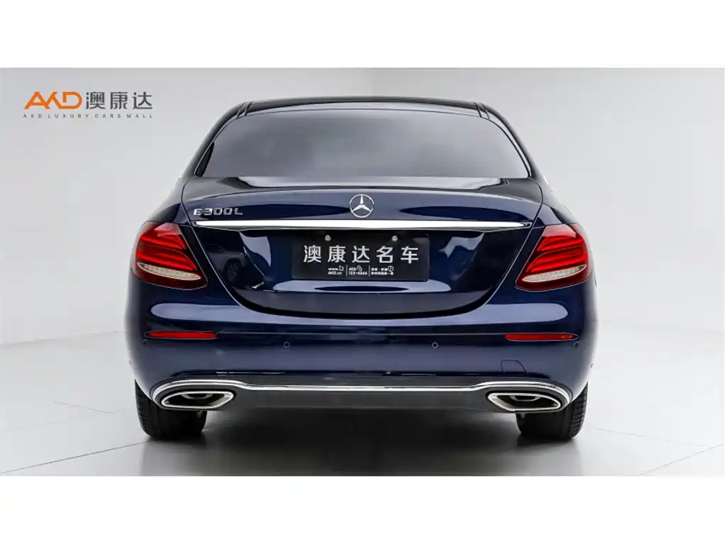 Mercedes-Benz E-Class E 2020 E 300 L