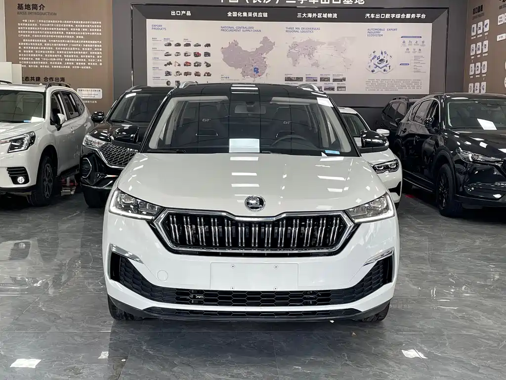 Skoda Kamiq GT TSI230 DSG Flagship Edition, фото 2