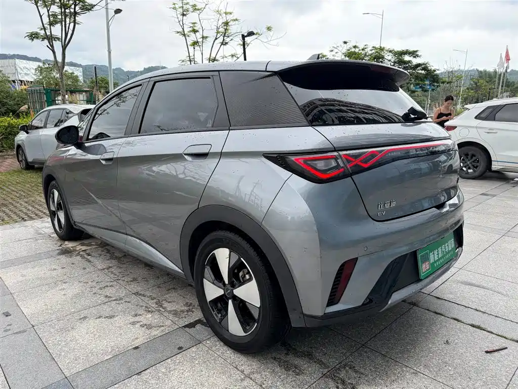 BYD Dolphin 2023 420km Fashion