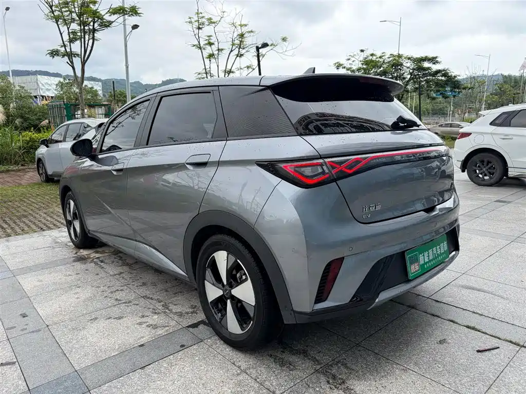 BYD Dolphin 2023 420km Fashion
