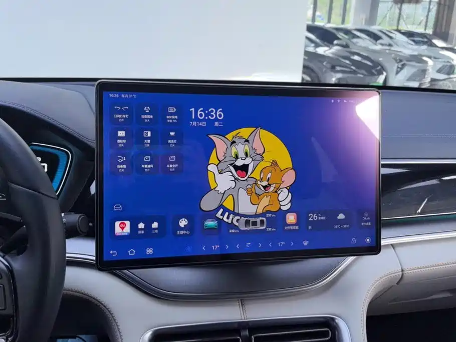 BYD PLUS New Energy — миниатюра 13