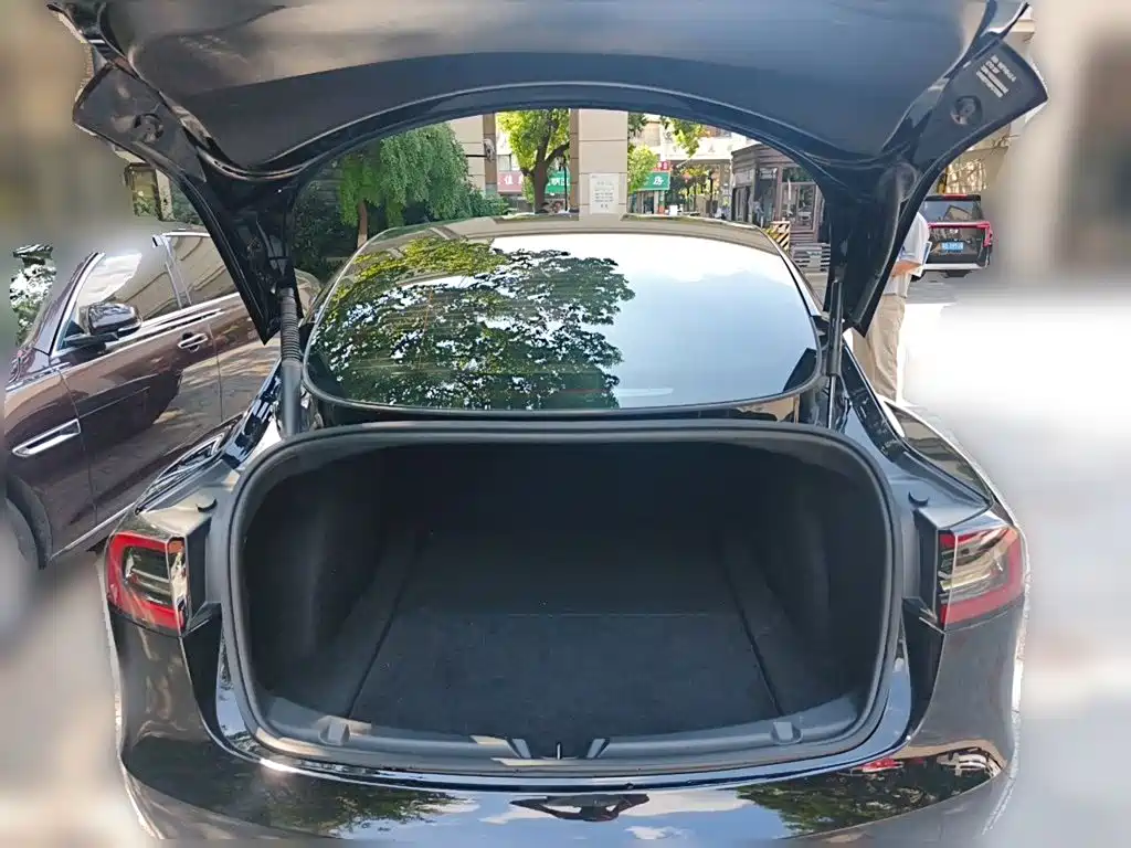 Tesla Model 3 — миниатюра 15
