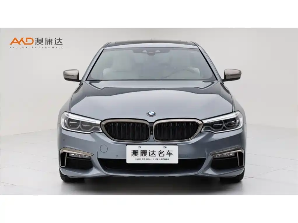 BMW 5 Series (Import) — миниатюра 2