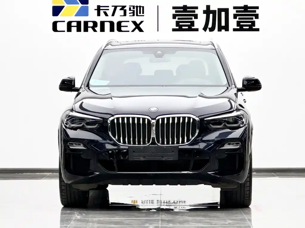 BMW X5 New Energy (Import) — миниатюра 2