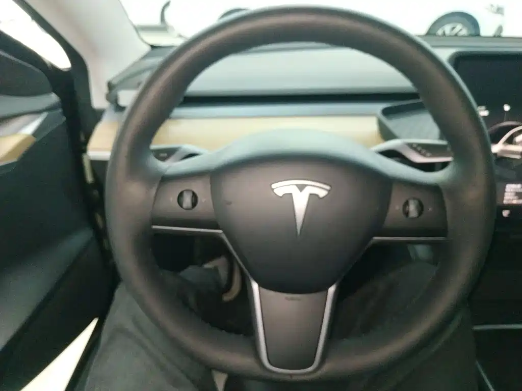 Tesla Model 3 — миниатюра 11