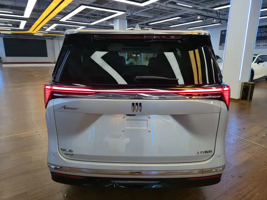 Buick GL8 Hybrid LandKing Luxury Enjoy Edition 7 seats, фото 6