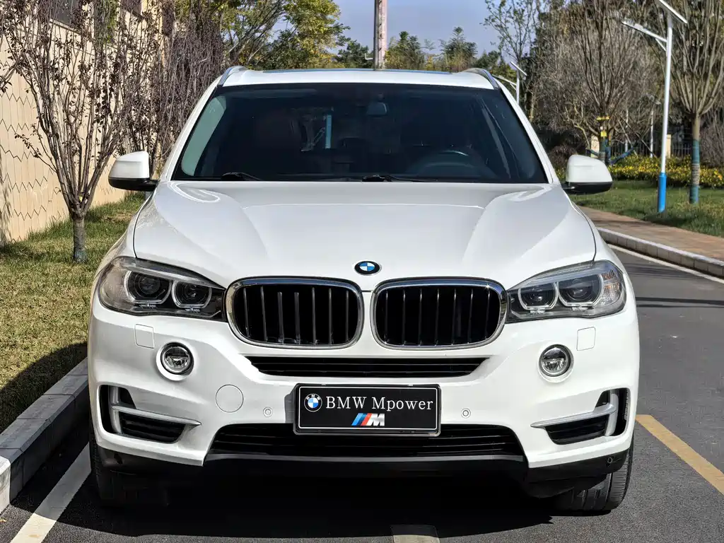 BMW X5 2014 xDrive35i Lead