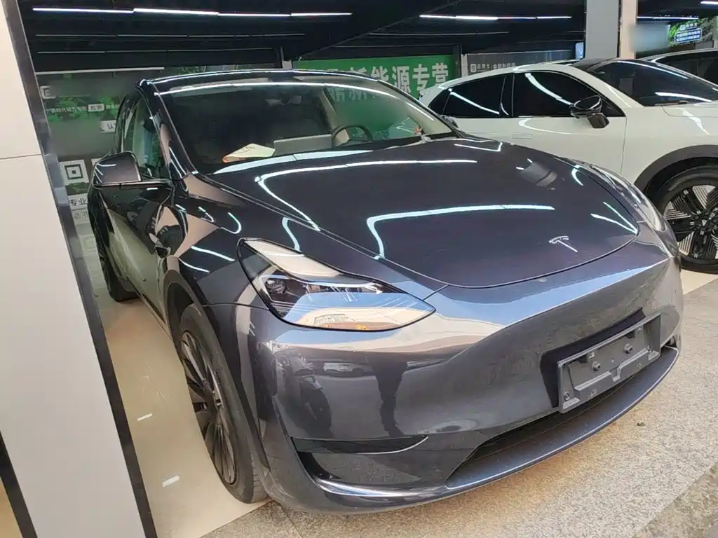 Tesla Model Y — миниатюра 4