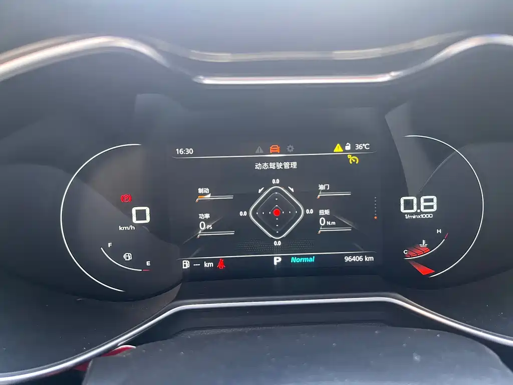 MG MG6 Pro 1.5T Auto Trophy Luxury Edition, фото 11