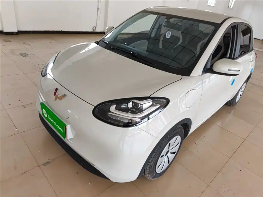 Wuling Bingo 2024