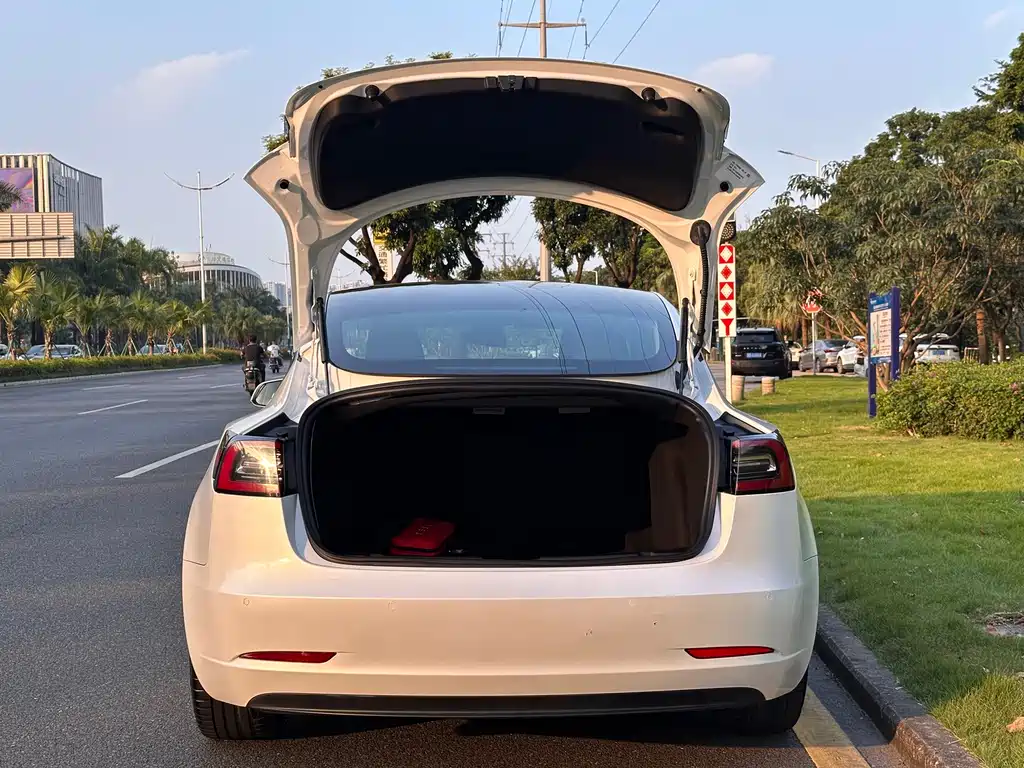 Tesla Model 3 — миниатюра 8