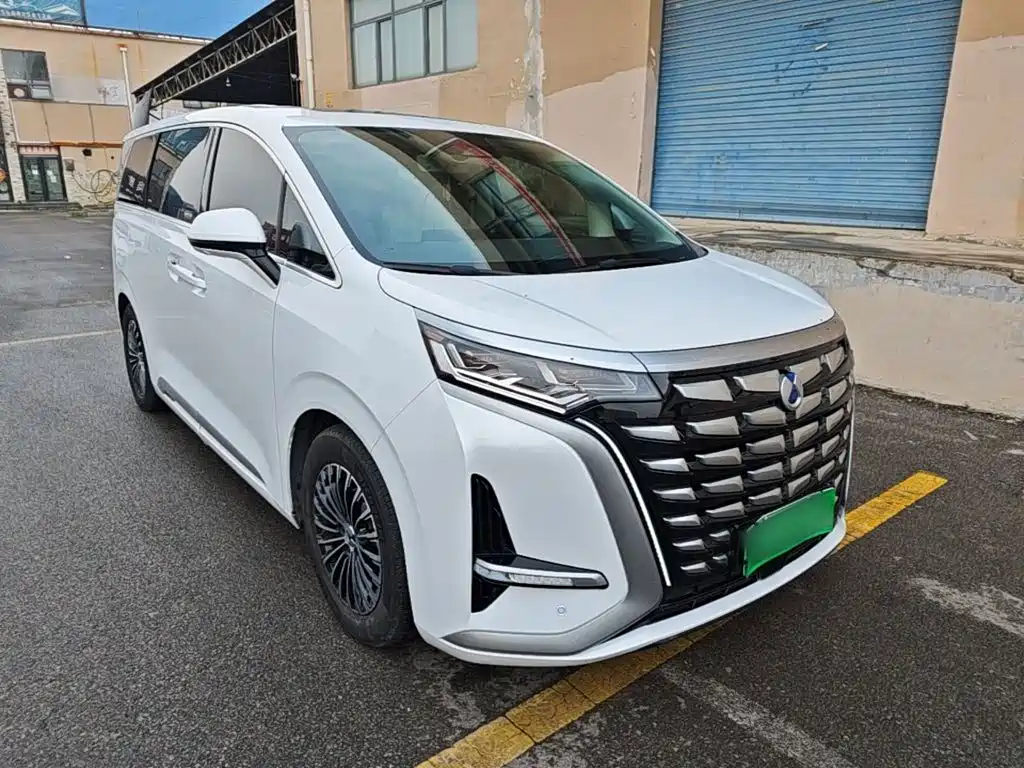 Denza Denza D9 — миниатюра 4