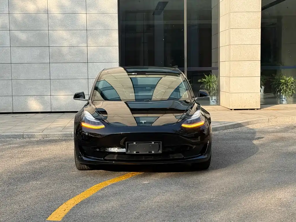 Tesla Model 3 — миниатюра 2