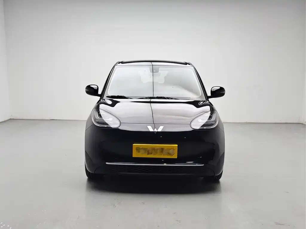 Wuling Binguo 2023 333km Enjoy