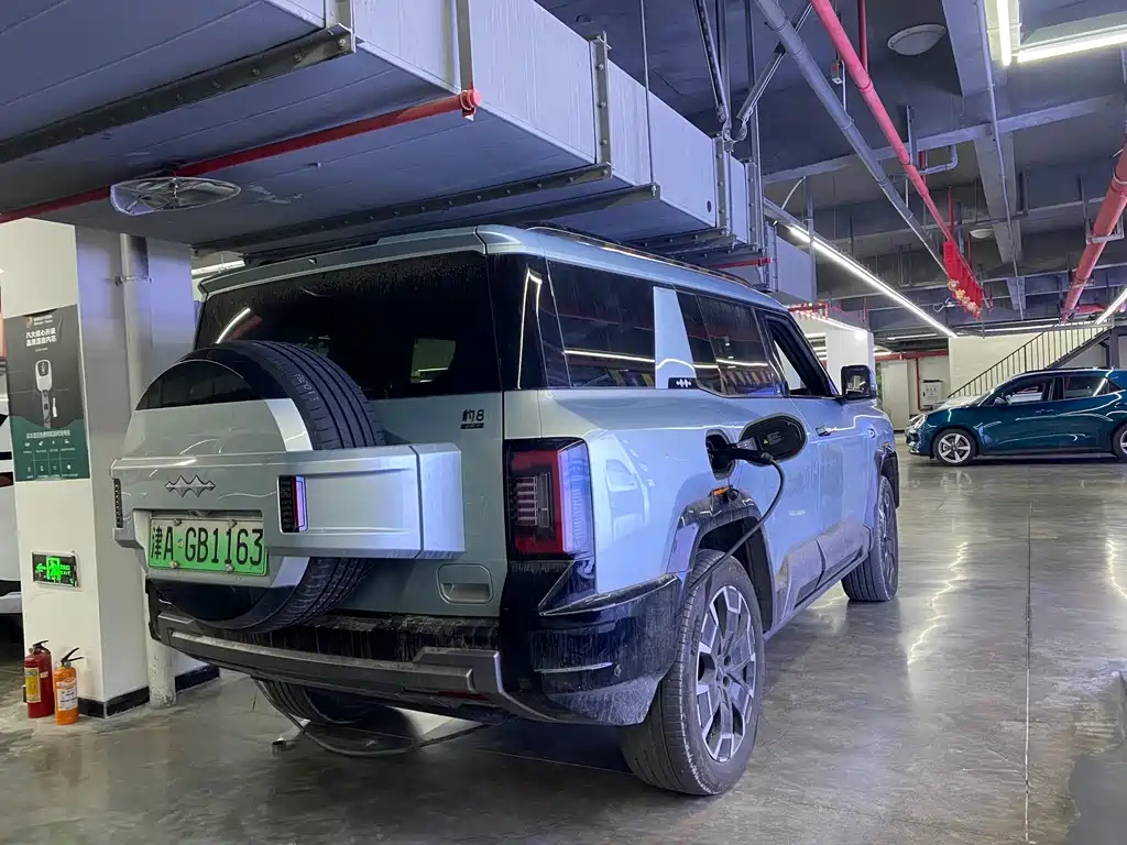 FANG CHENG BAO LEOPARD 8