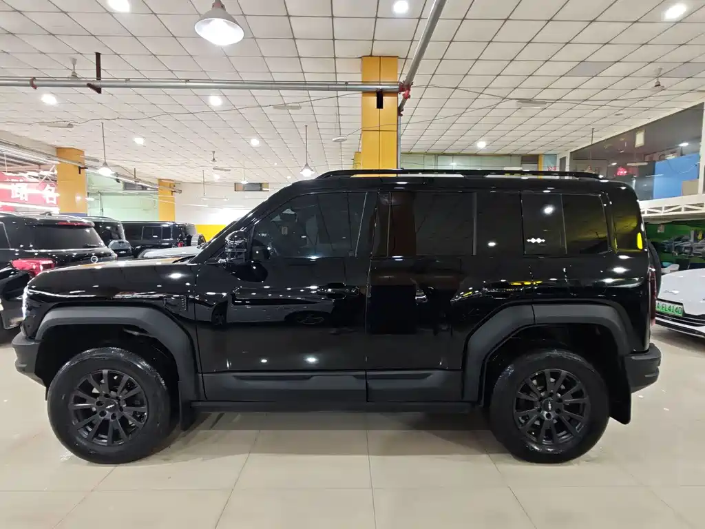 FANG CHENG BAO LEOPARD 5