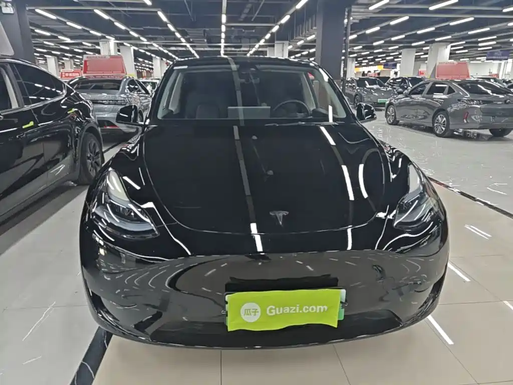 Tesla Model Y — миниатюра 3