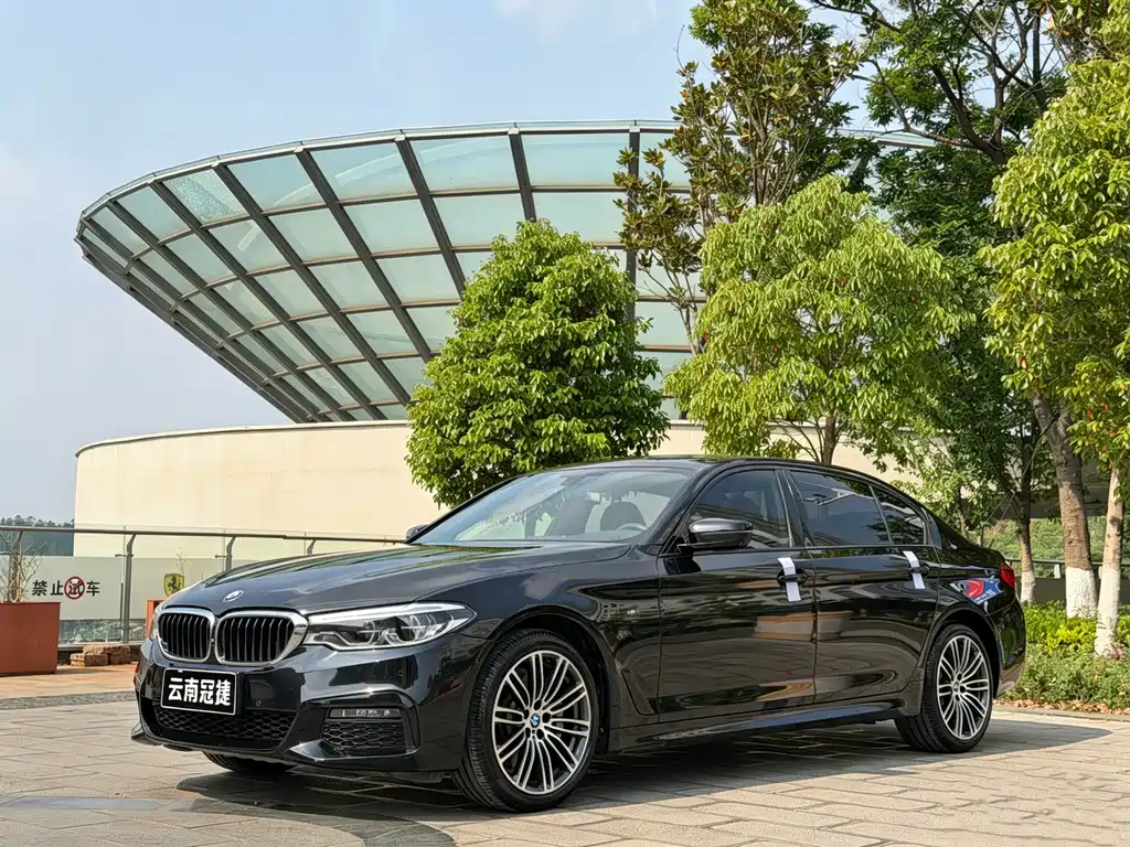 Купить BMW 5 Series