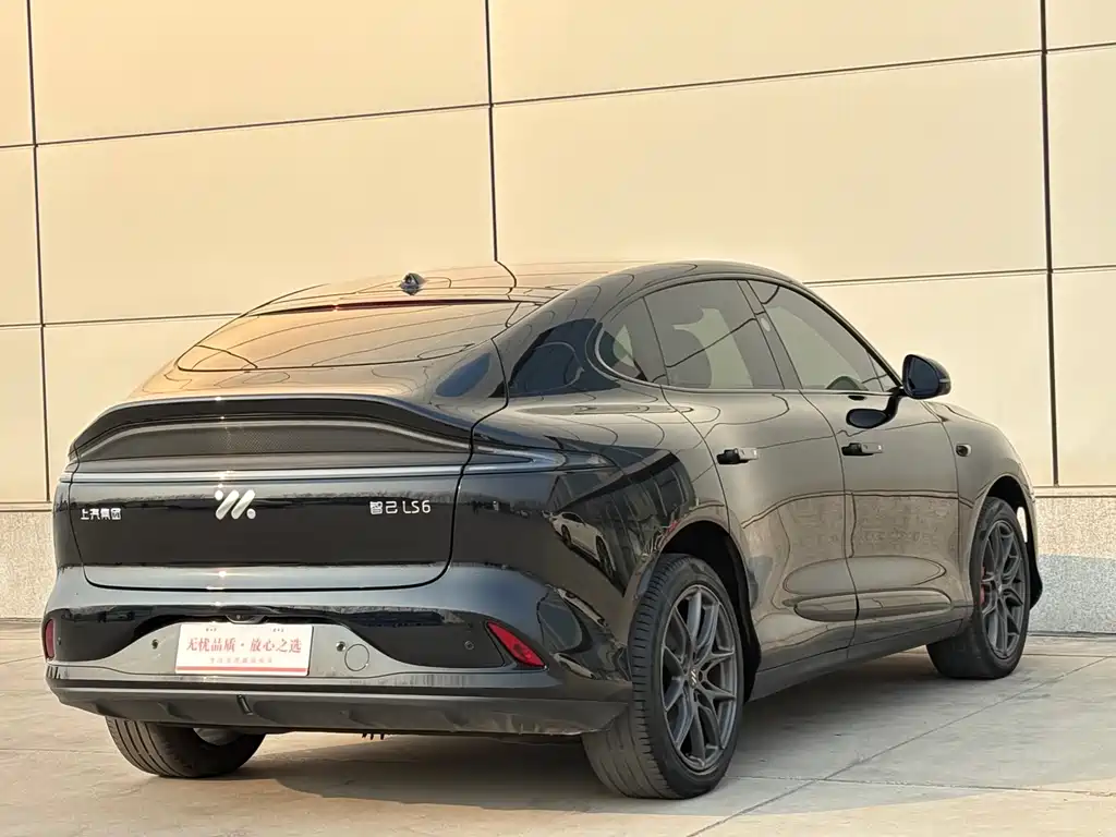 ZHIJI AUTOMOBILE ZHIJI LS6